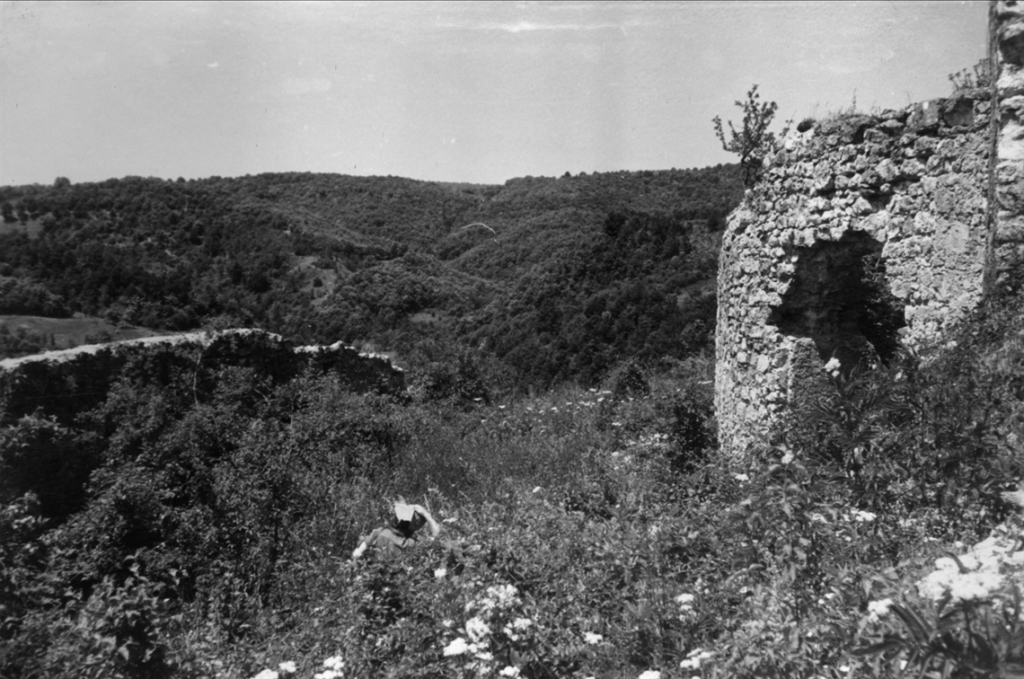Image description